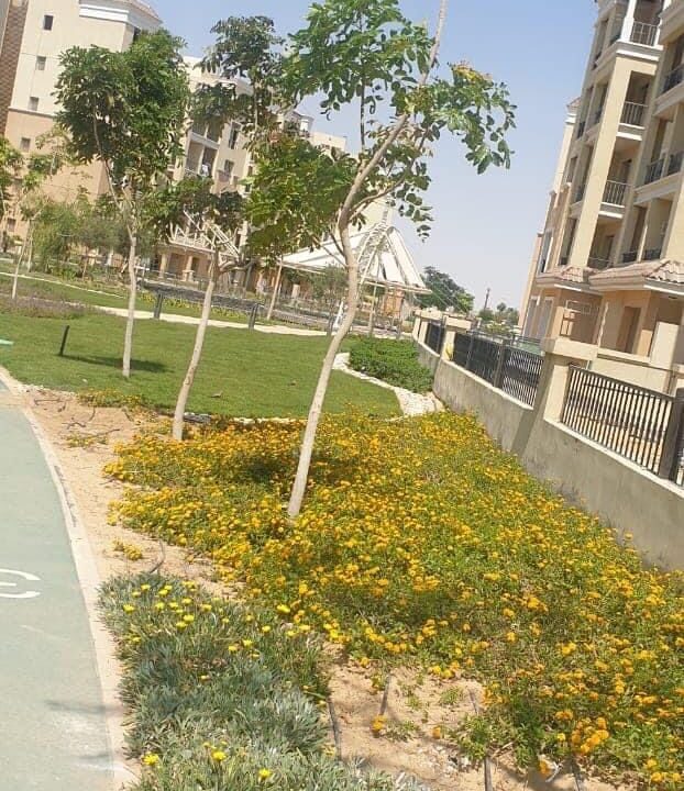 sarai-4